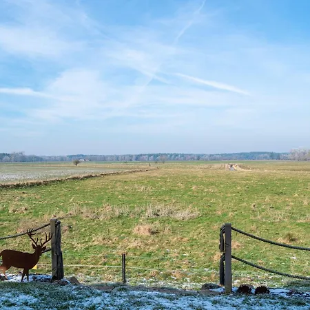 Reetidyll Am Haff - Haus 2 Ferienhaus